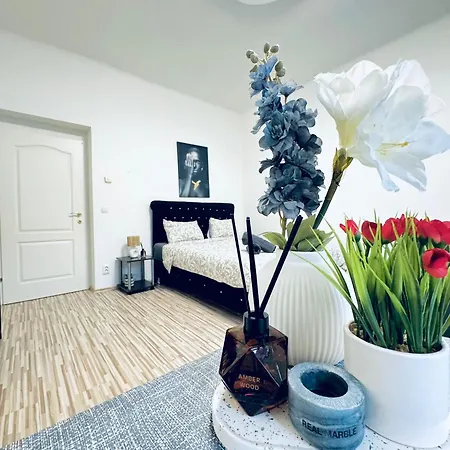 Affordable 2Br Apartment, Close To Danube River Viena Exterior foto