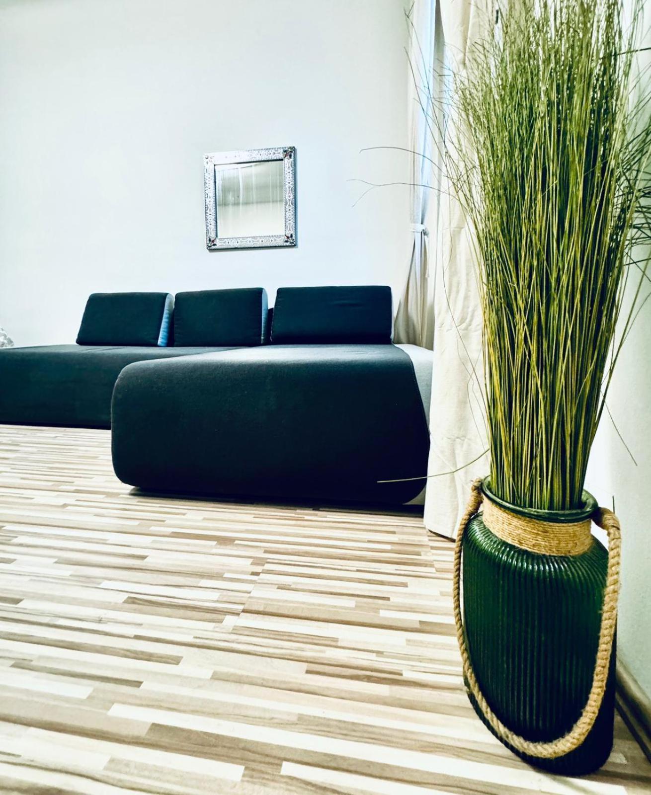 Apartamento Affordable 2br Apartment, Close To Danube River Viena